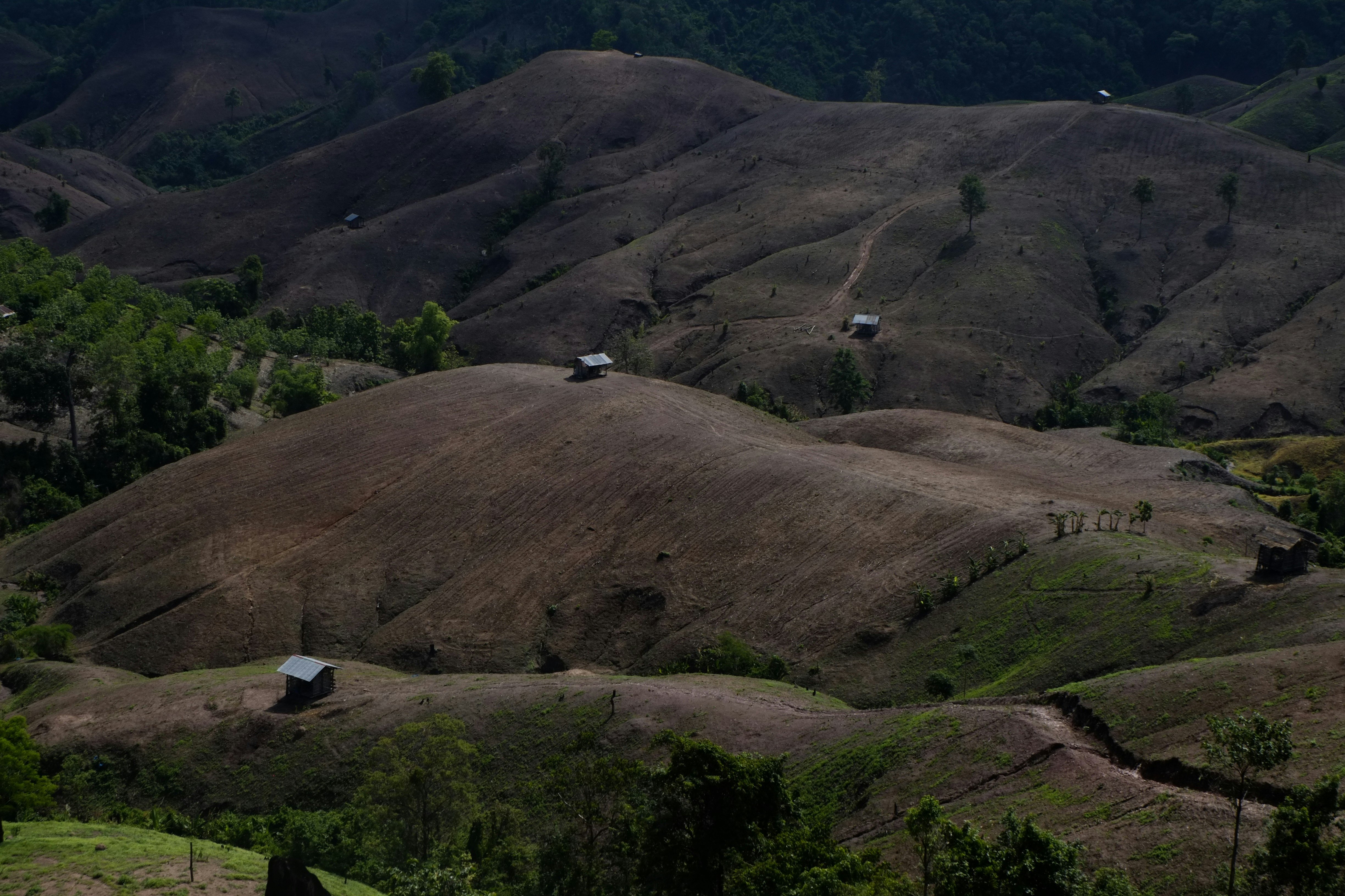 Land Stewardship
